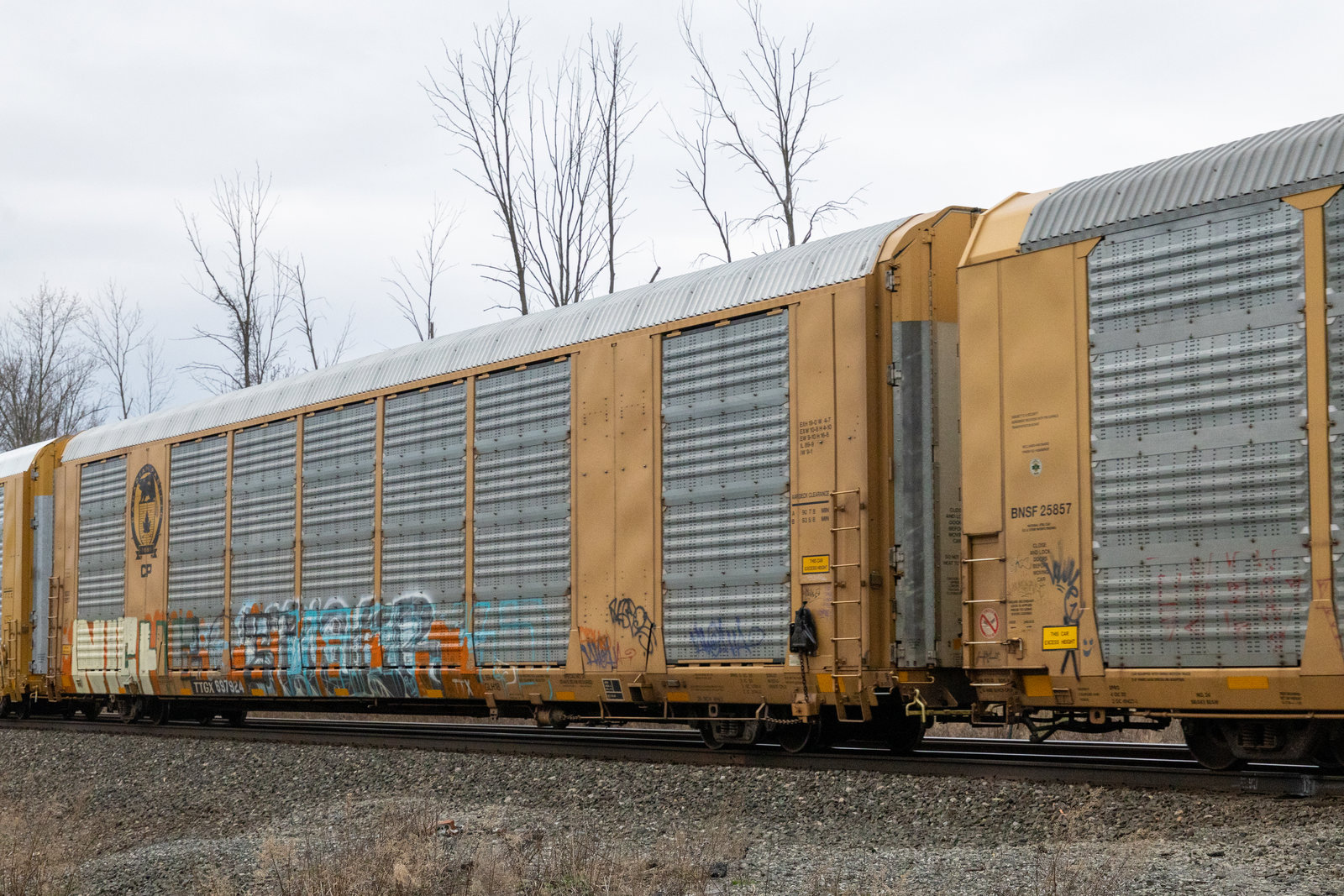 TTGX 697924