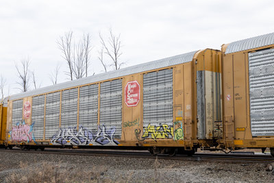TTGX 696141