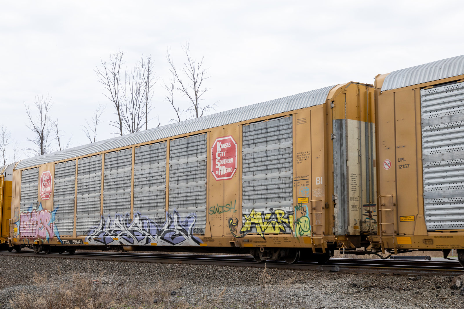 TTGX 696141