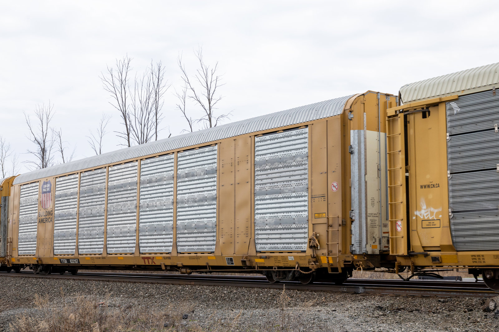 TTGX 822157