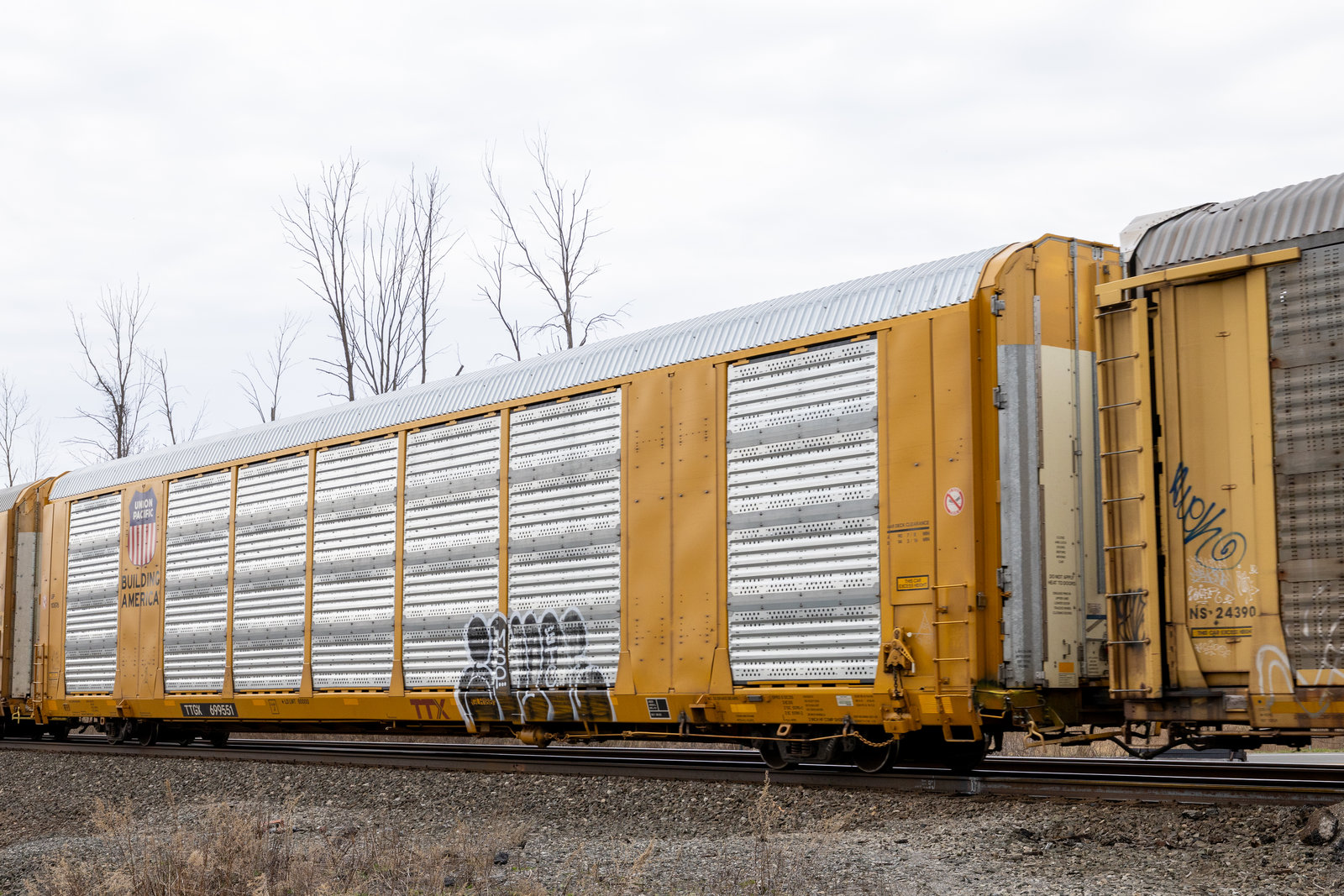 TTGX 699551