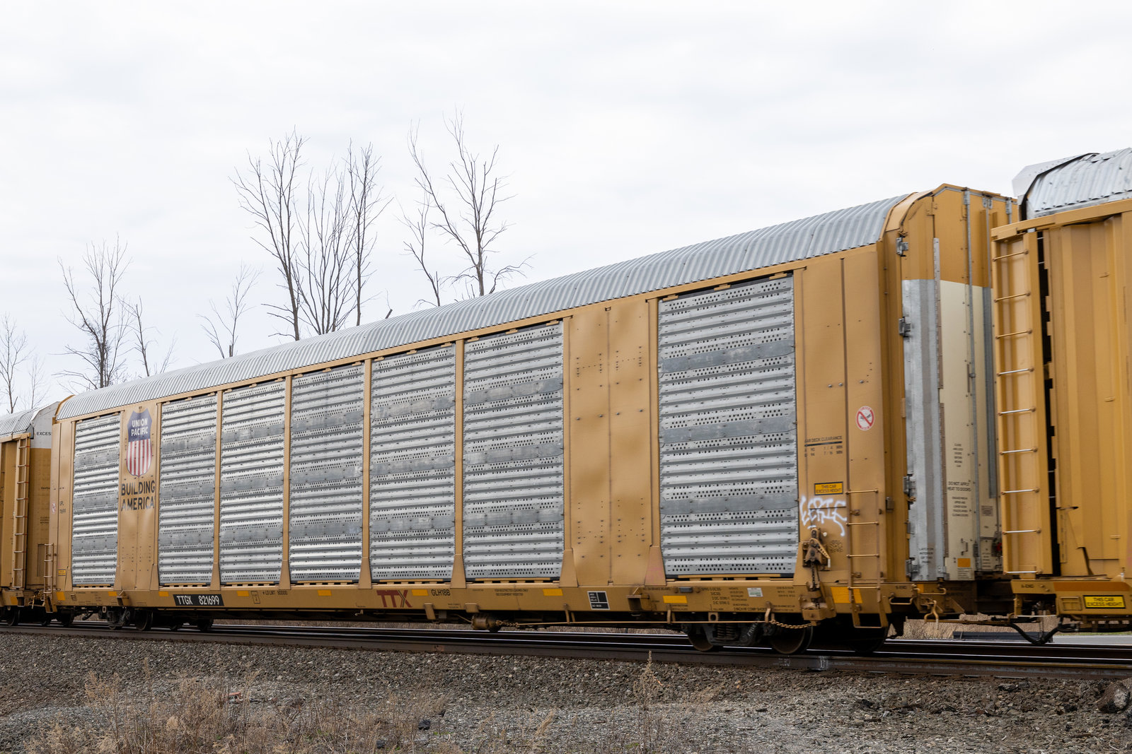 TTGX 821699