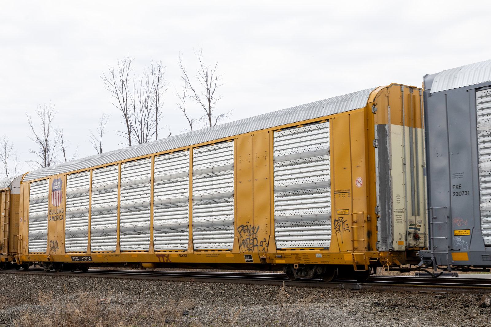 TTGX 698724