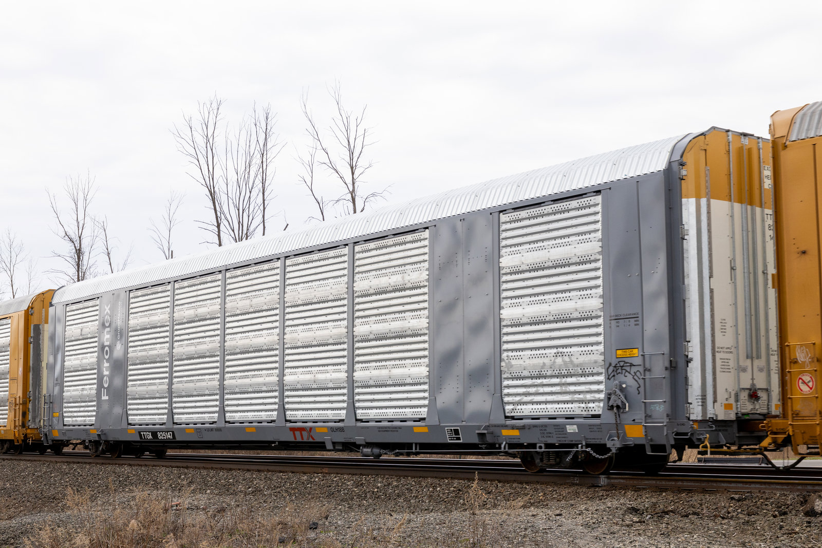 TTGX 825147