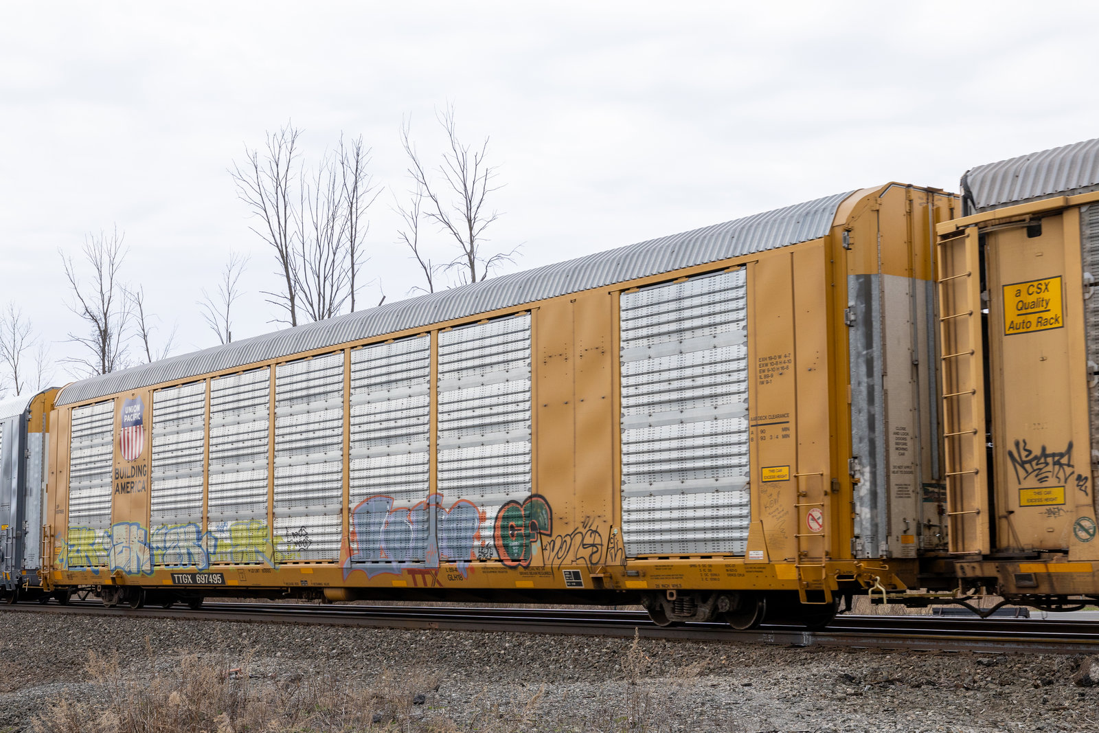 TTGX 697495