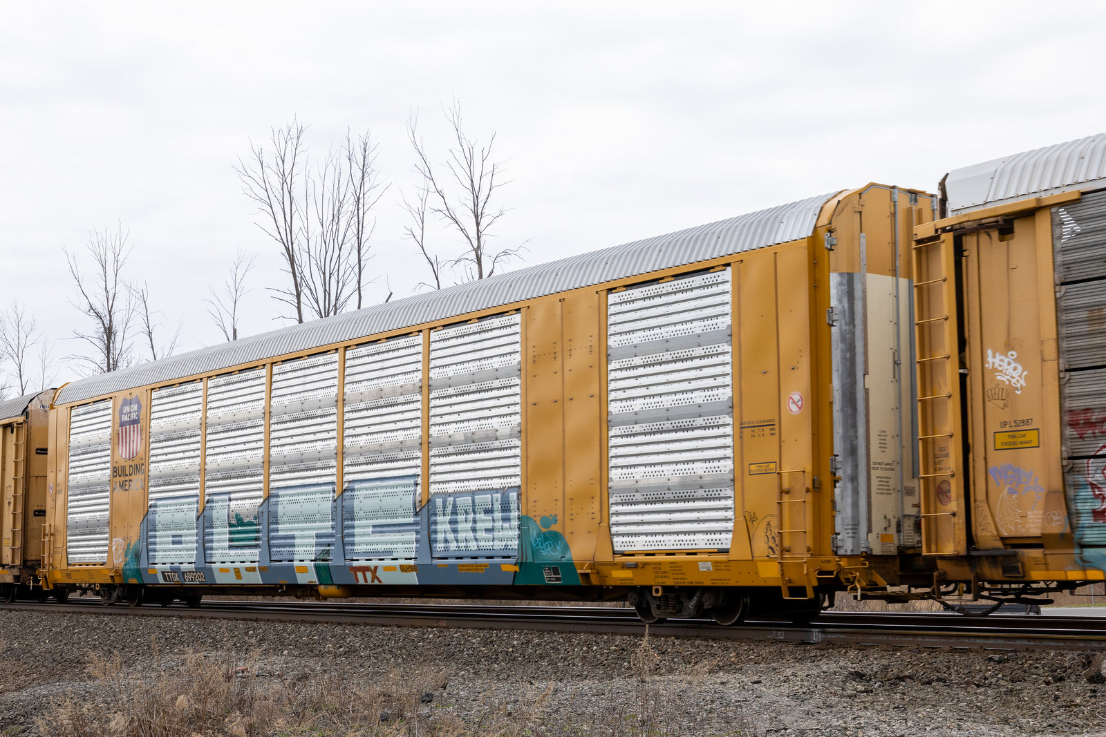 TTGX 699202