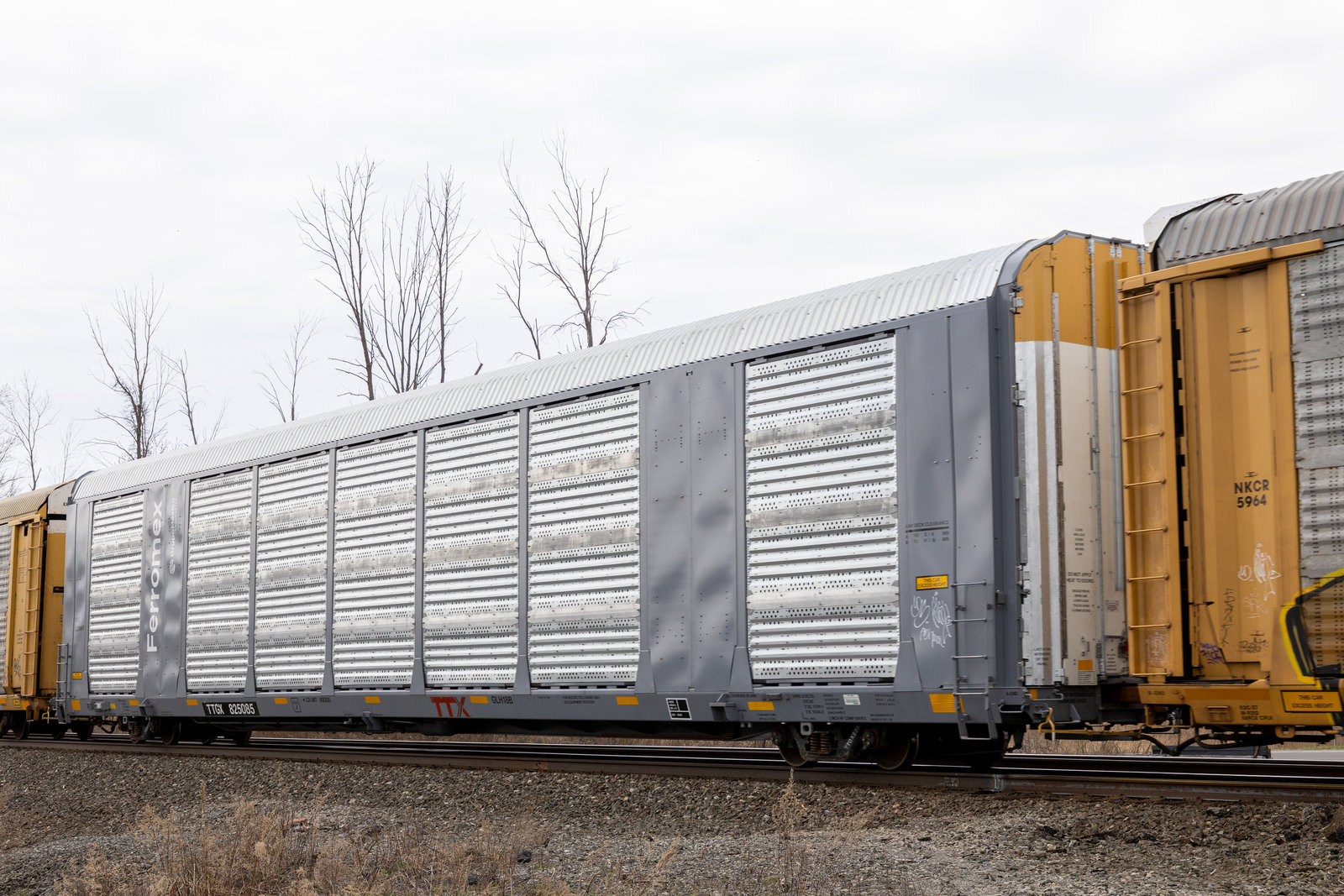 TTGX 825085