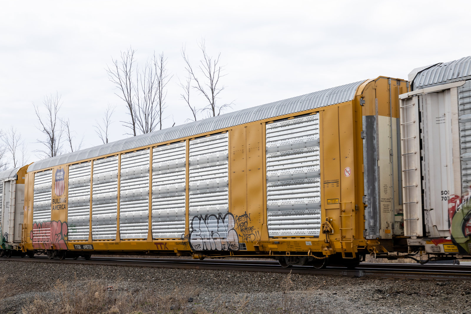 TTGX 698735