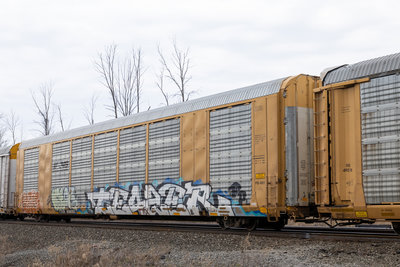 TTGX 698083