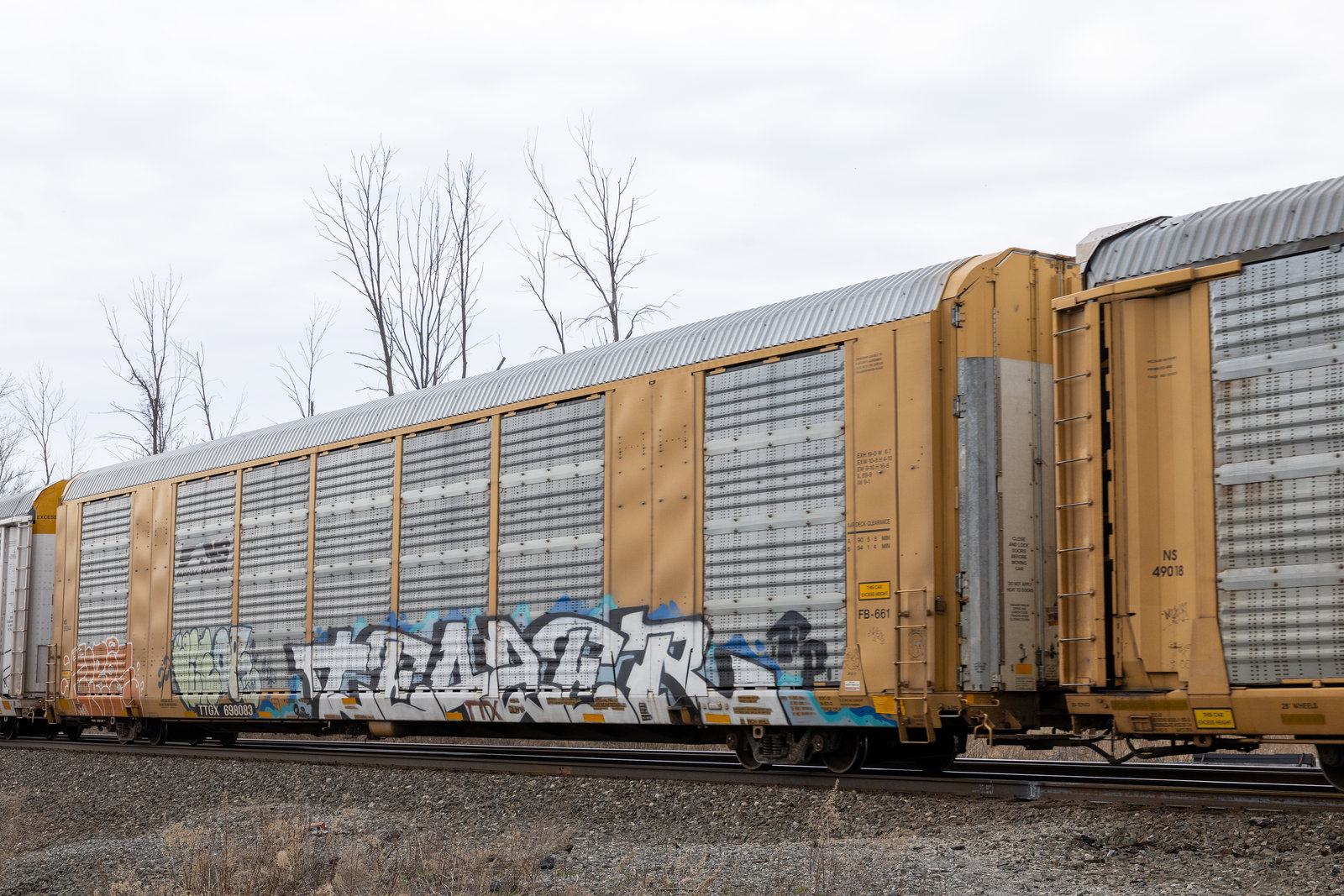 TTGX 698083