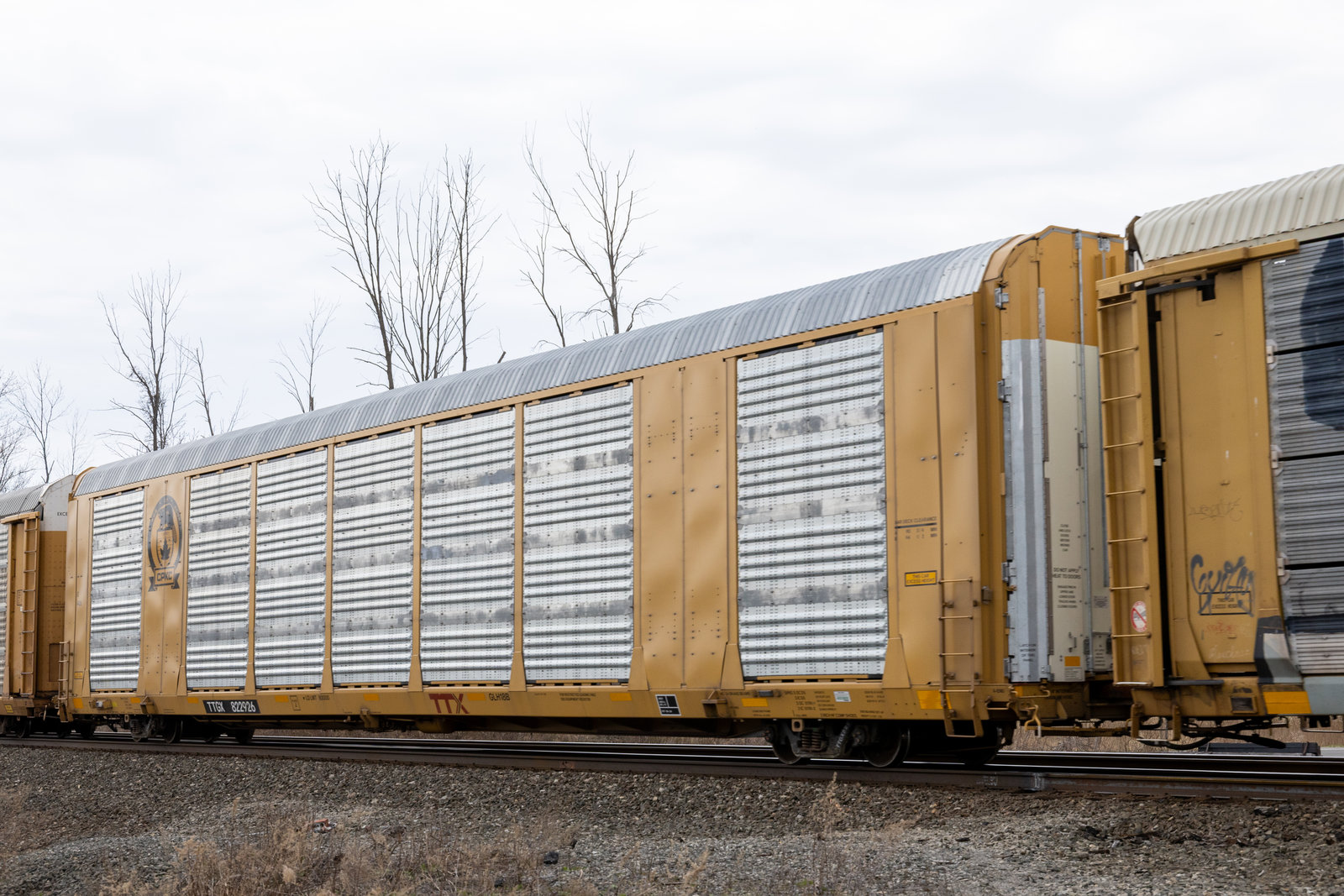 TTGX 822926