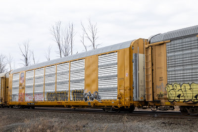 TTGX 699249
