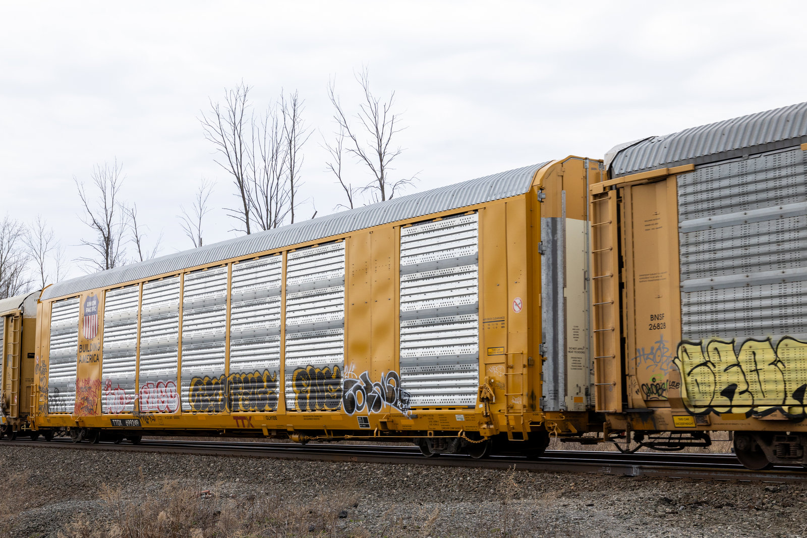 TTGX 699249
