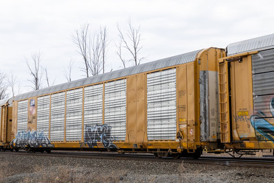 TTGX 697473
