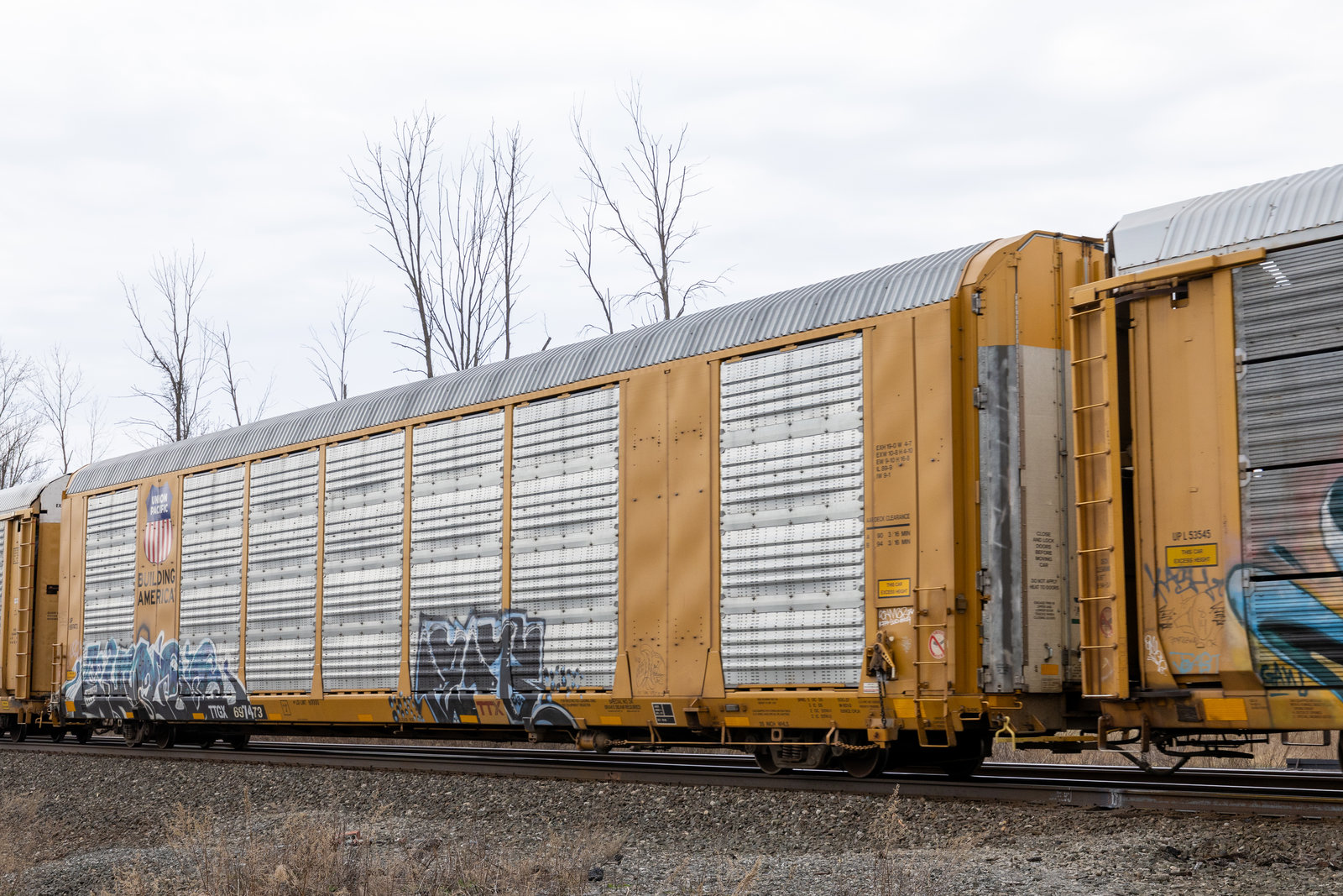 TTGX 697473