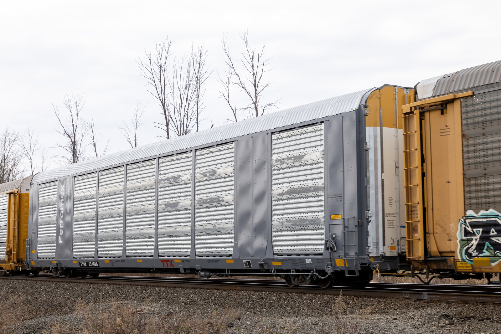 TTGX 824826