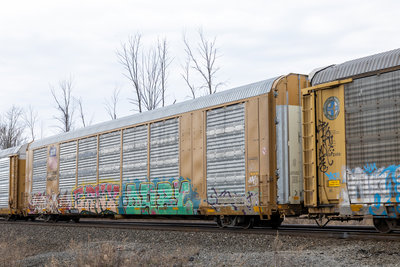 TTGX 821818