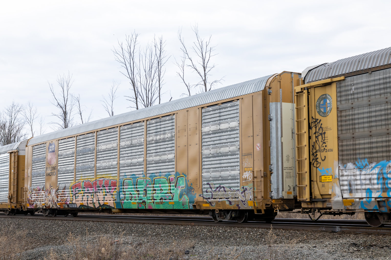TTGX 821818