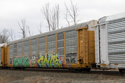 TTGX 702337