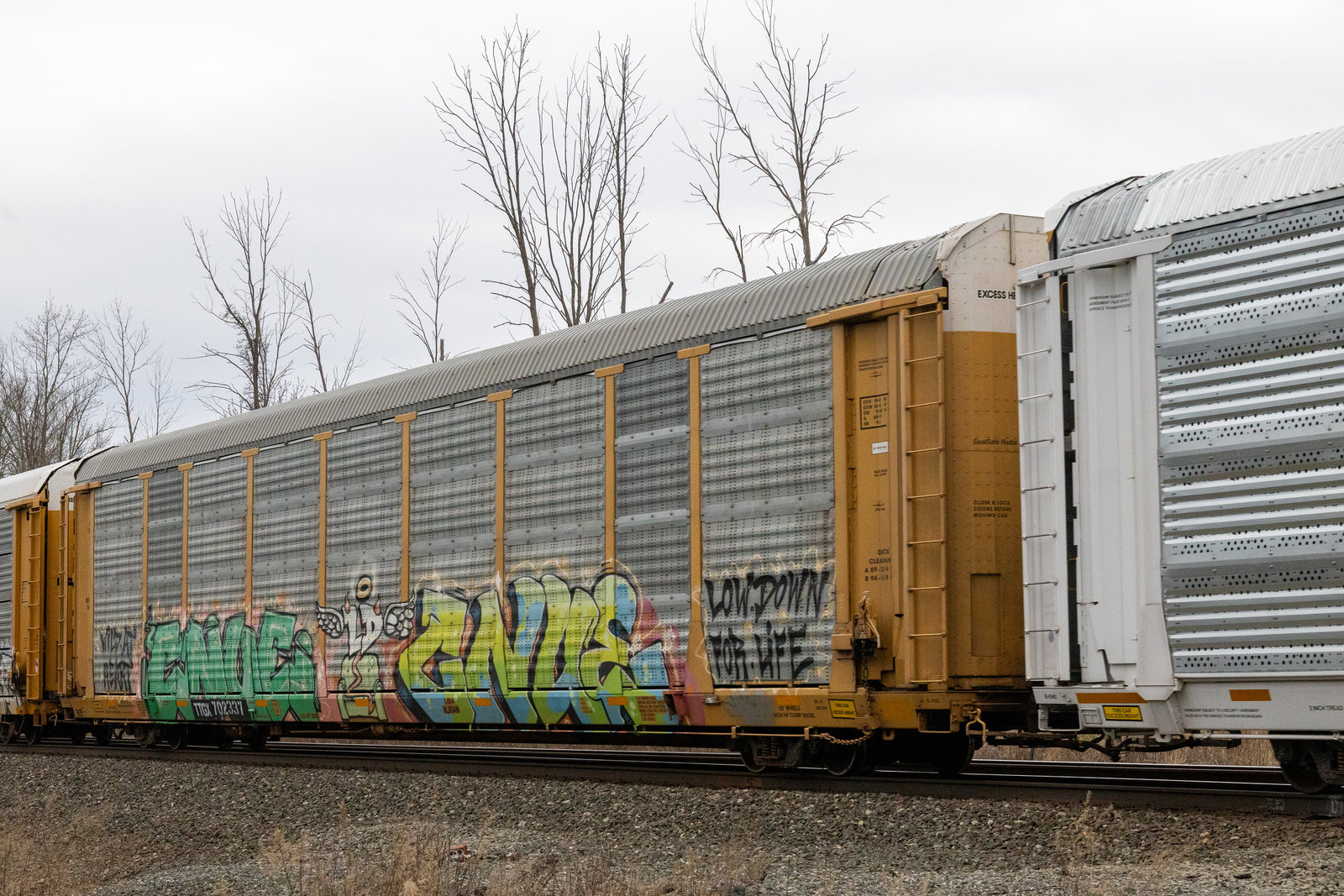 TTGX 702337
