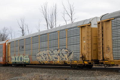 TTGX 706936