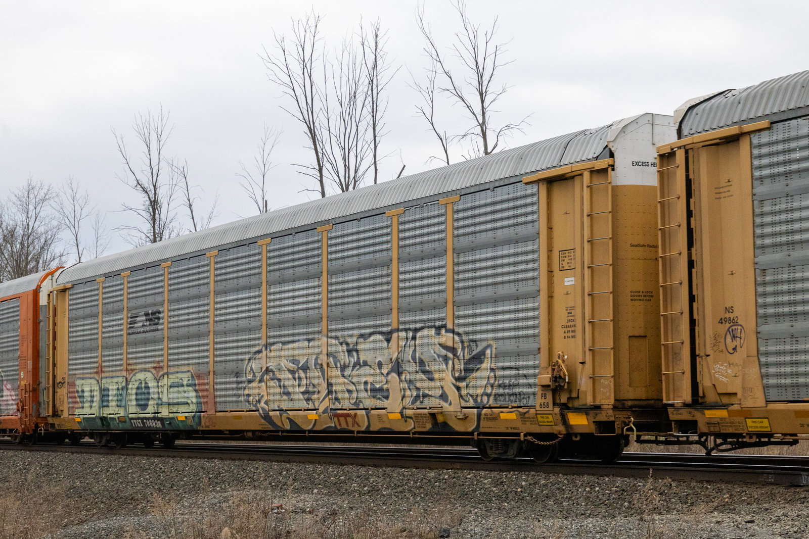 TTGX 706936
