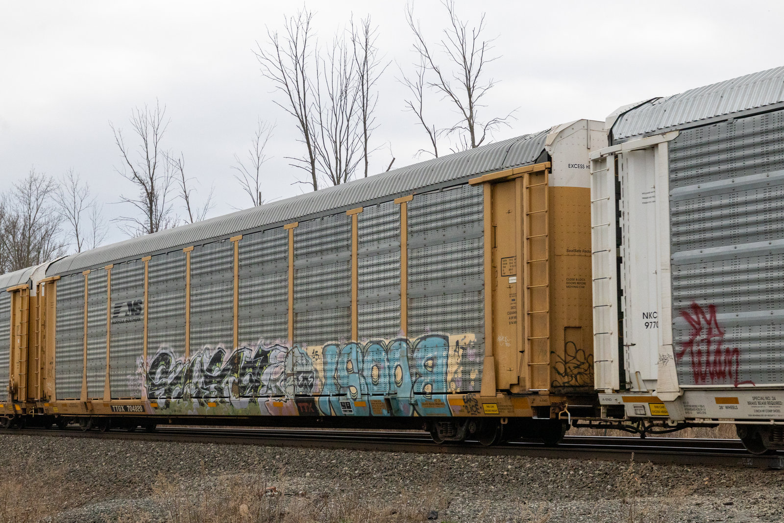 TTGX 704820
