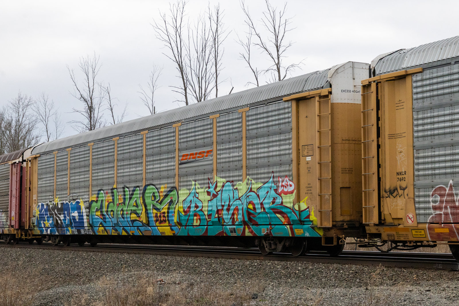 TTGX 965050