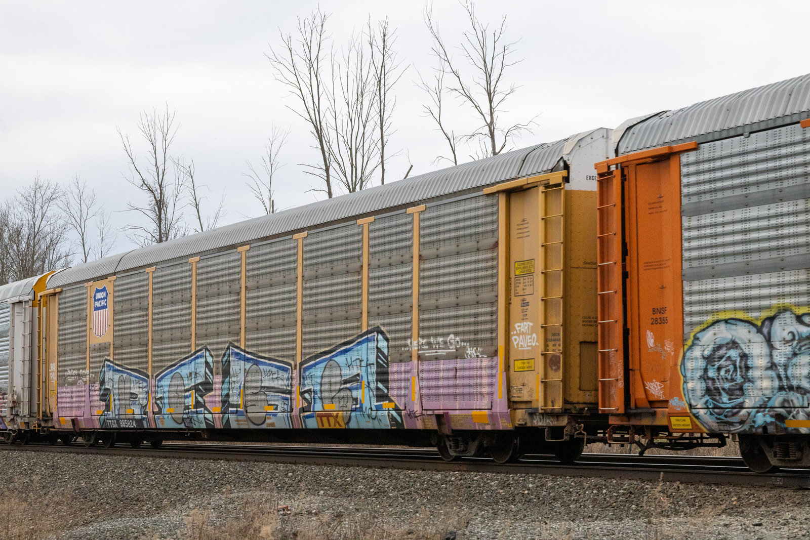 TTGX 985824