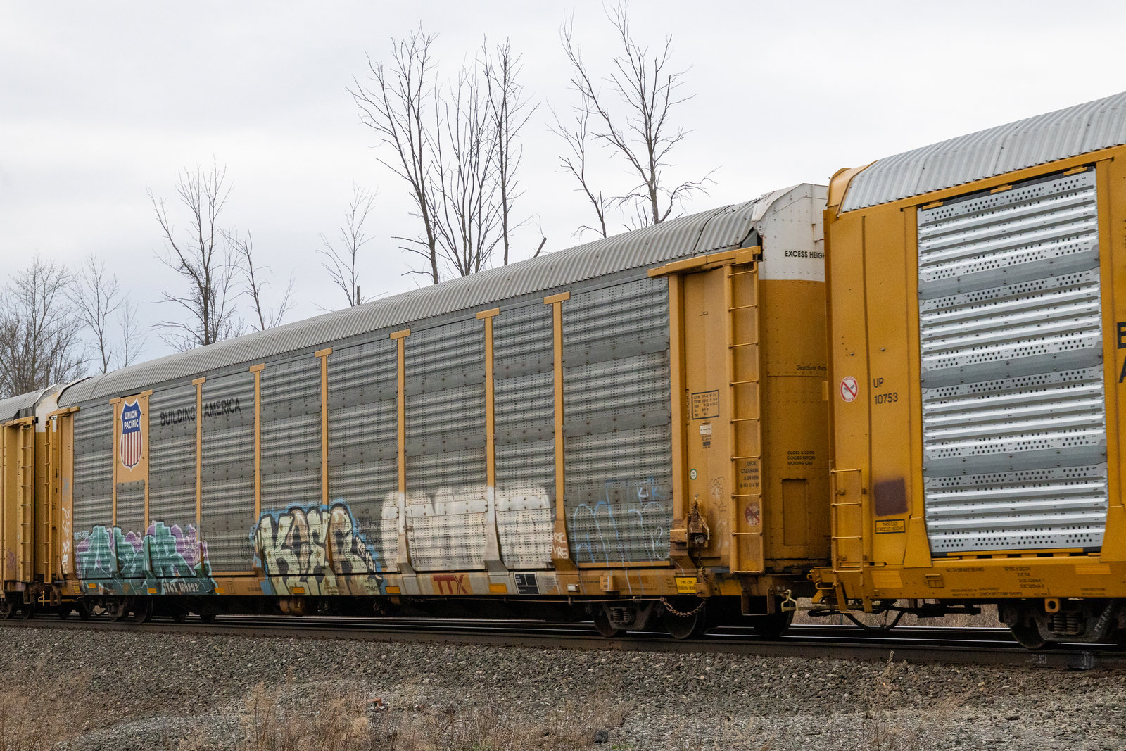 TTGX 160892