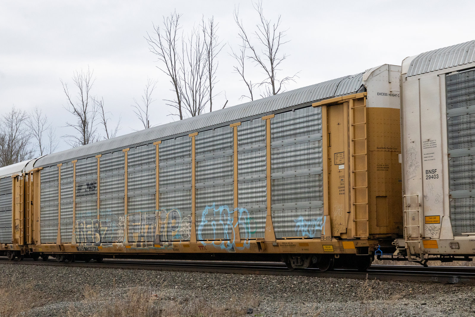 TTGX 704893