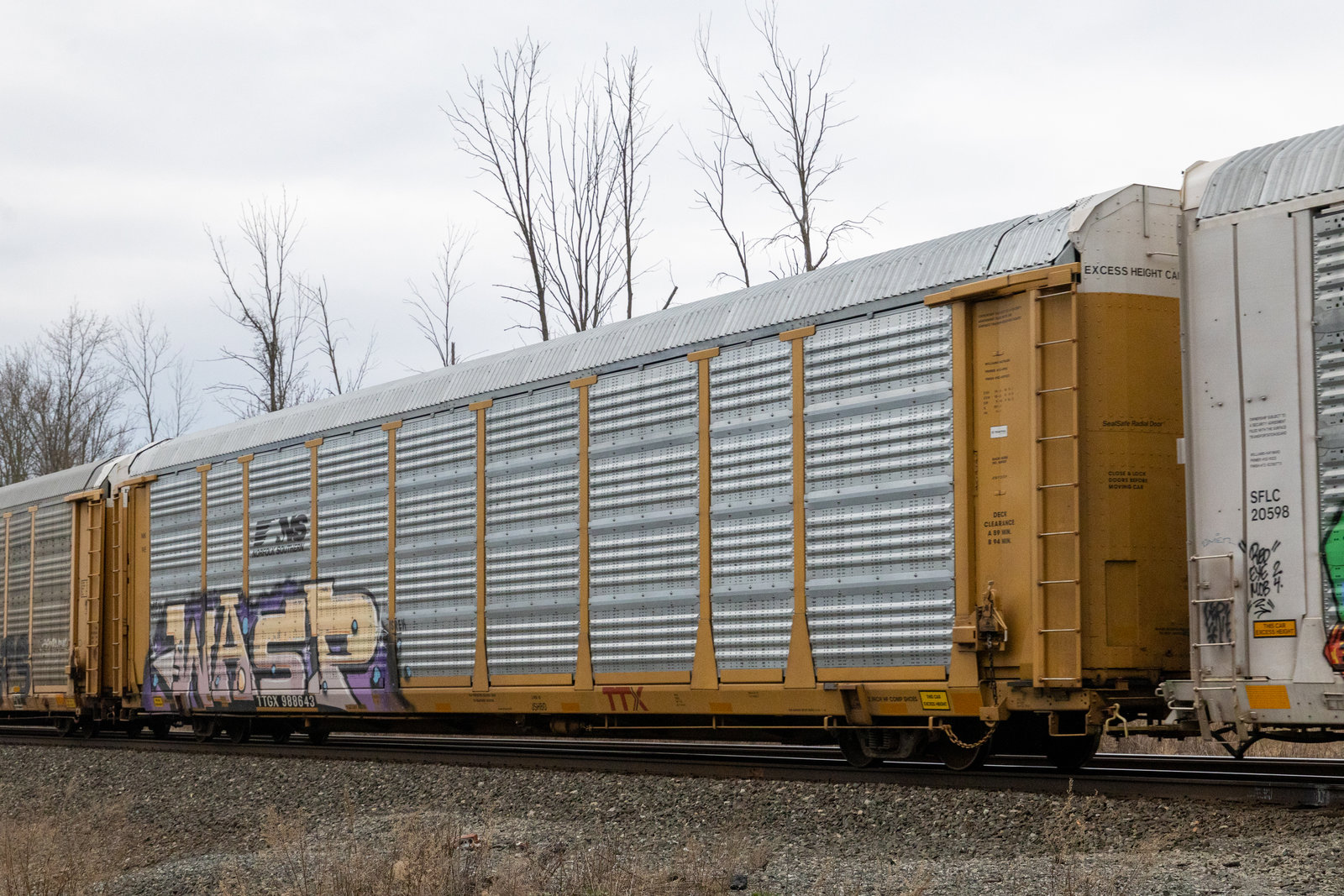 TTGX 988643
