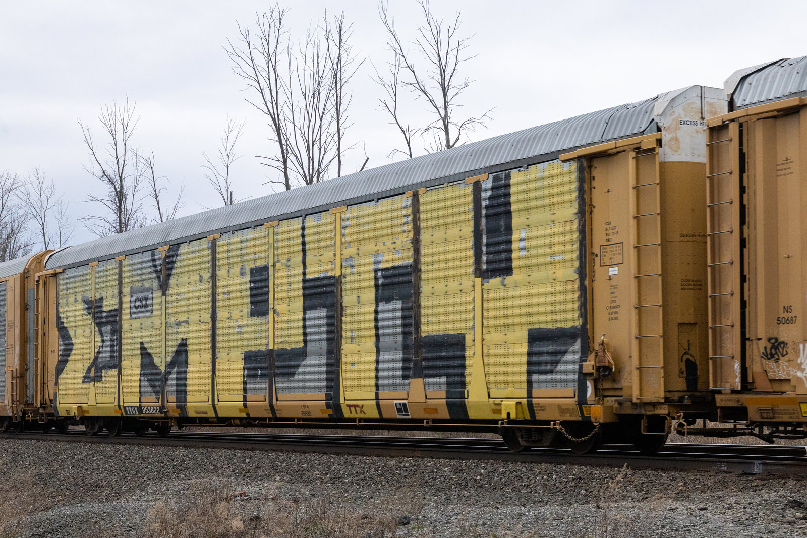 TTGX 953822