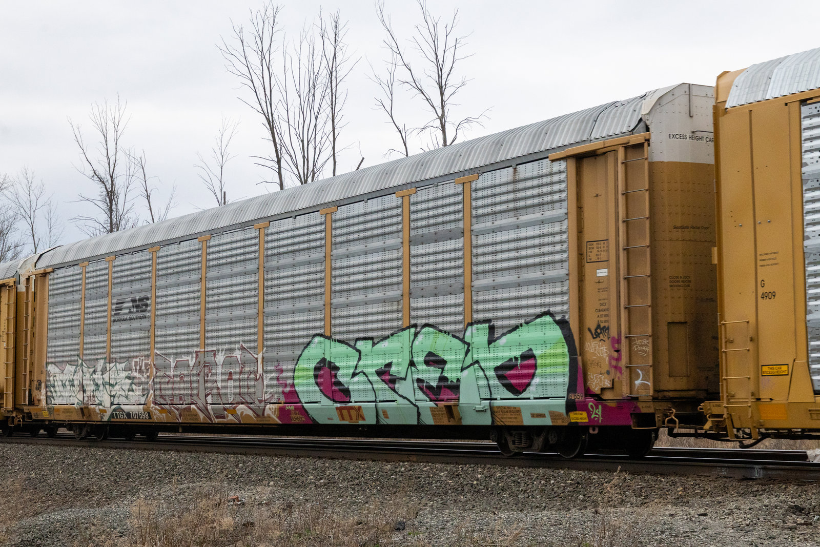 TTGX 707598