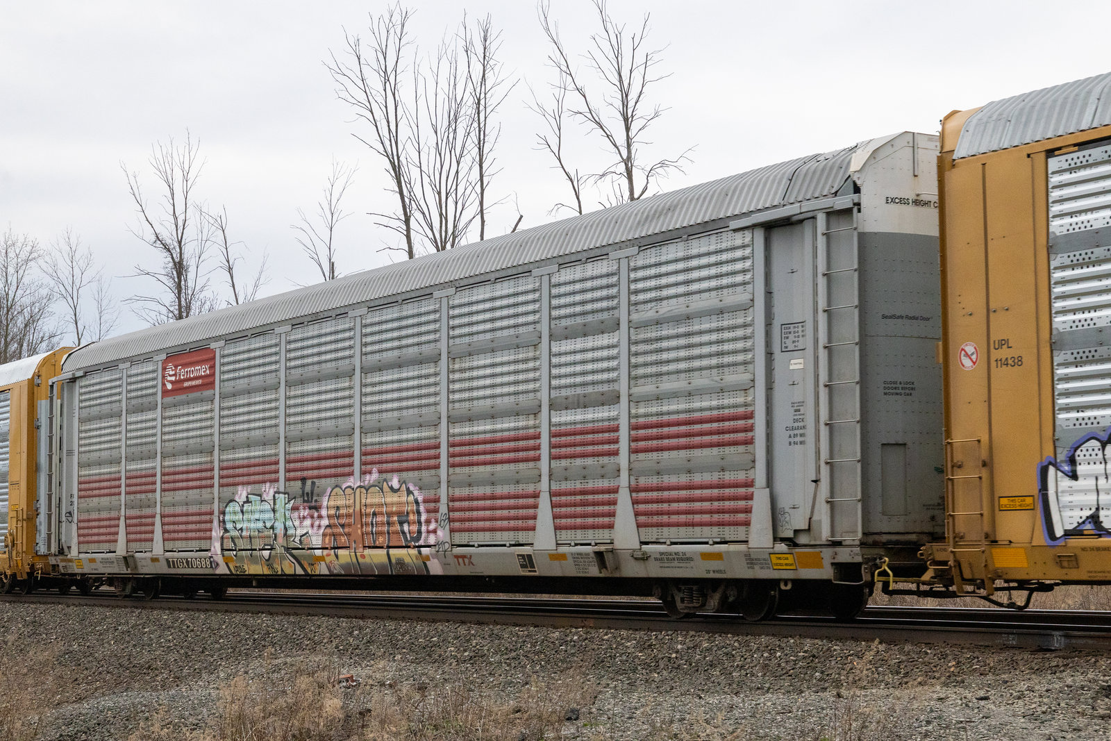 TTGX 706887