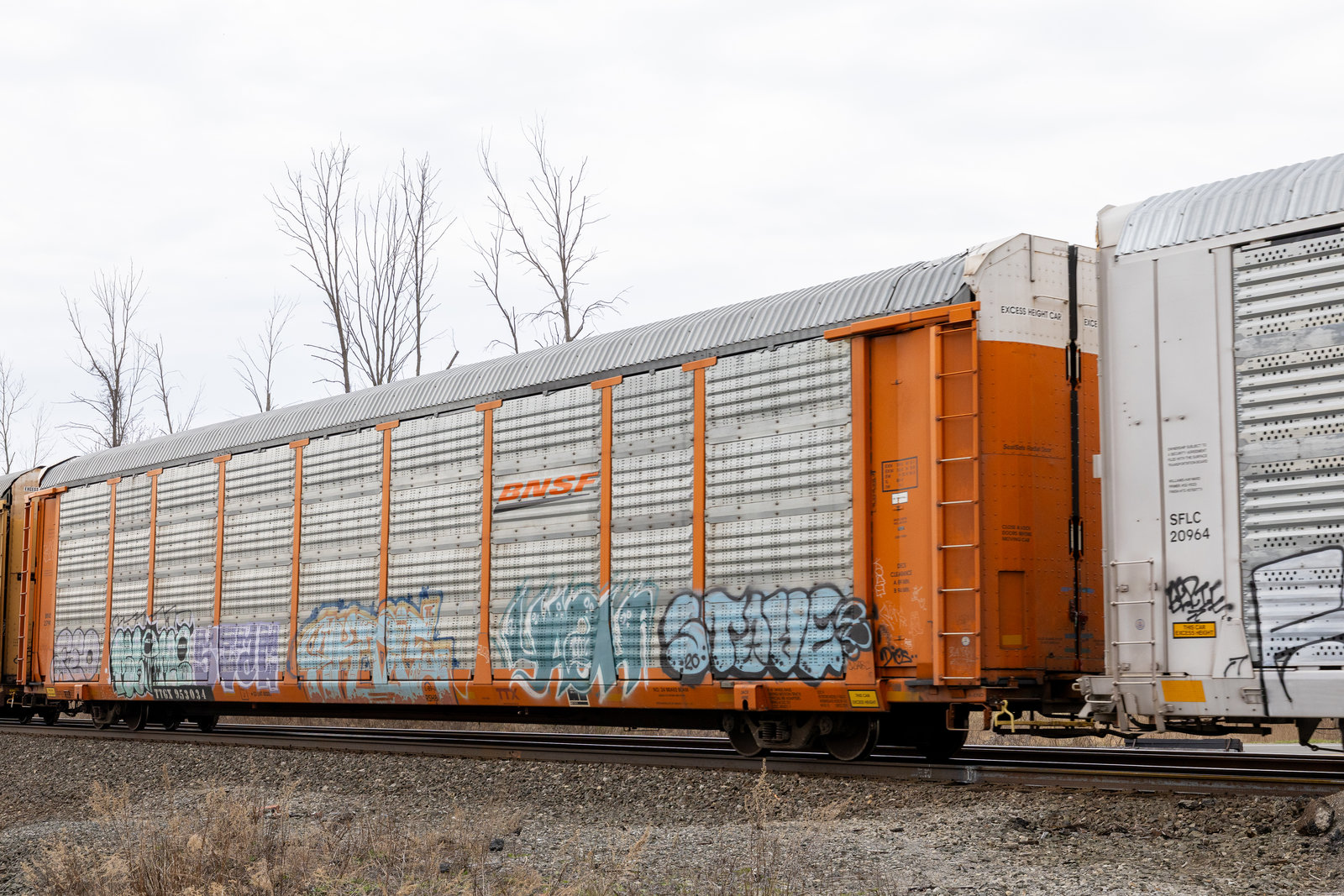 TTGX 953034