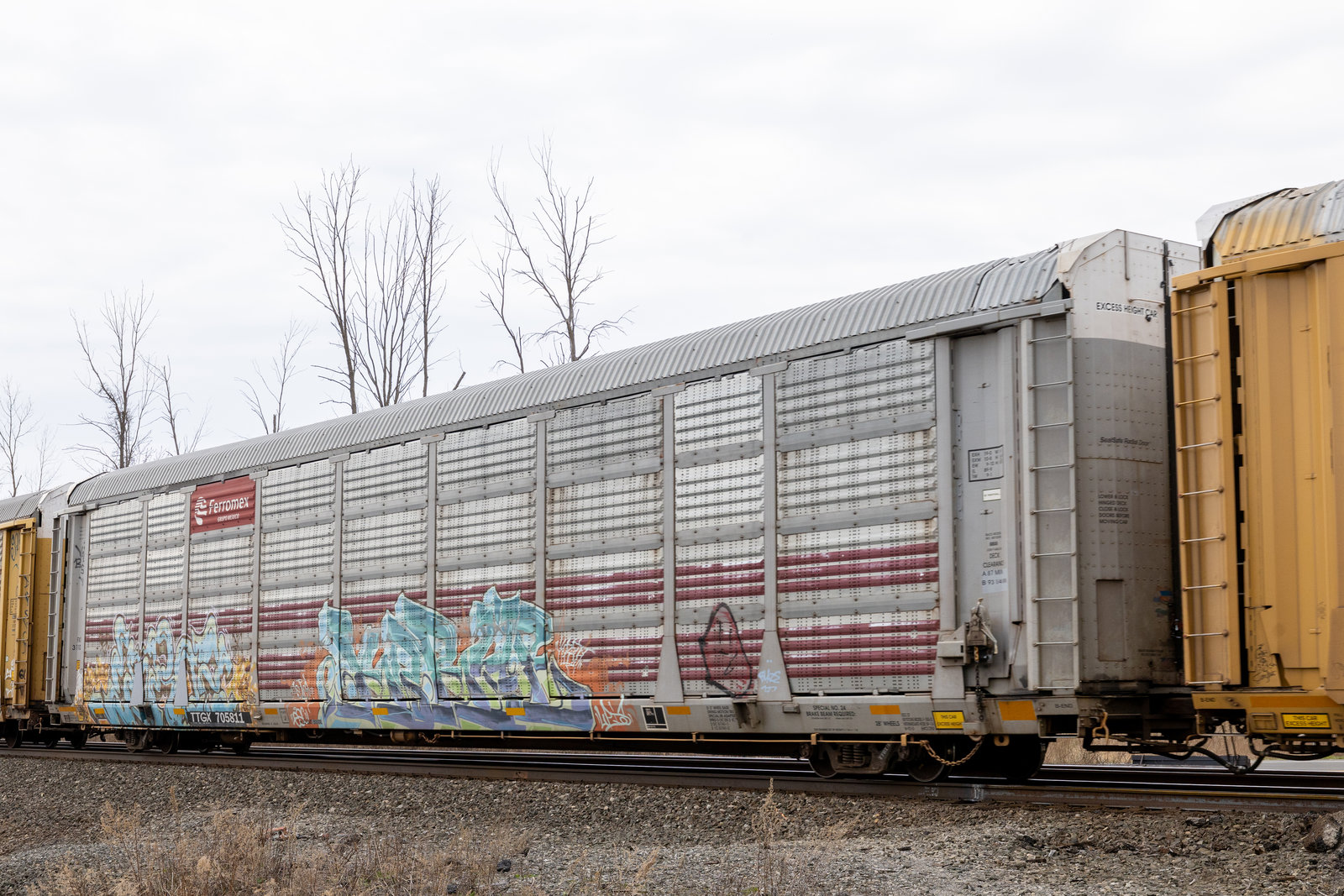 TTGX 705811