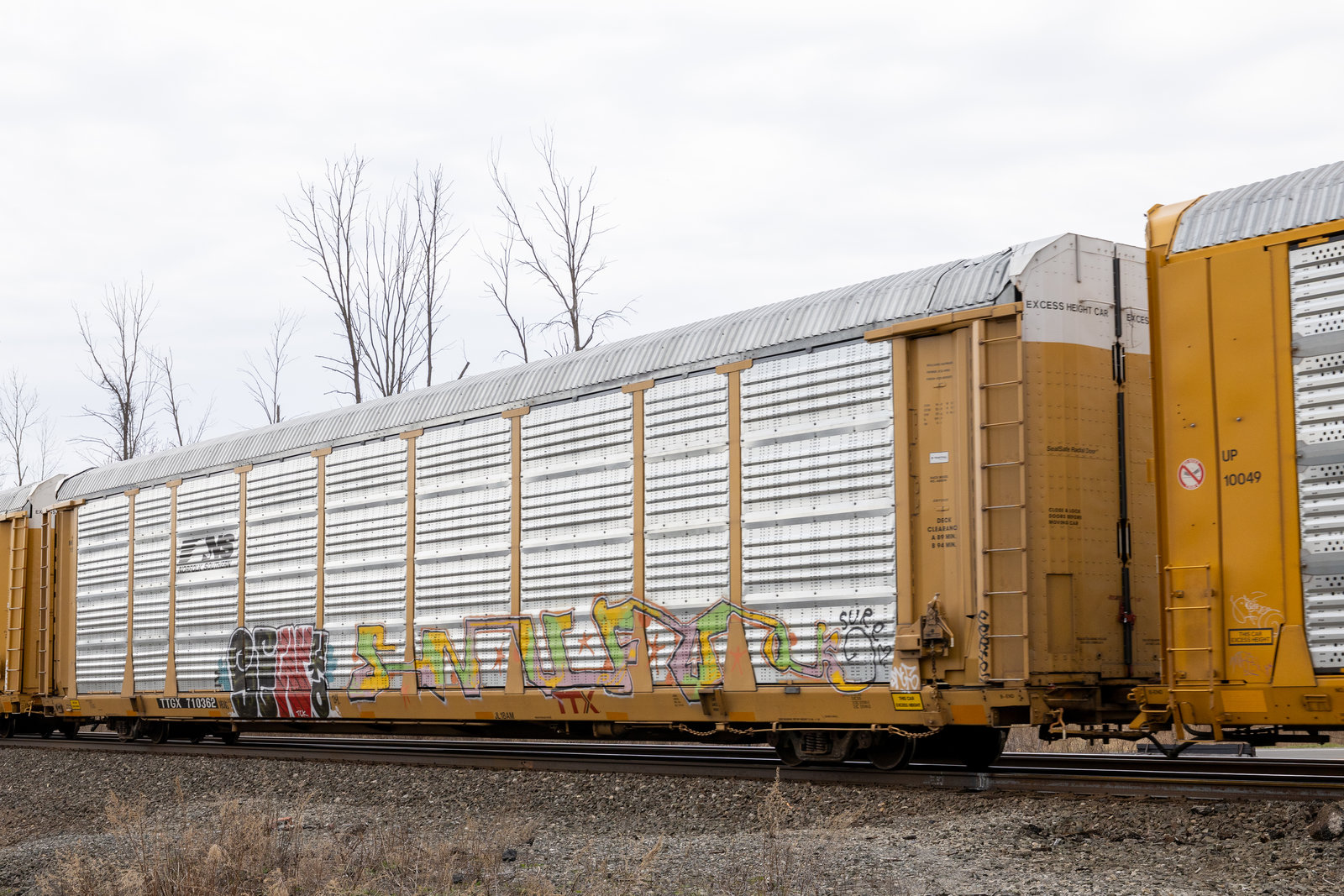 TTGX 710362