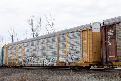 TTGX 702763
