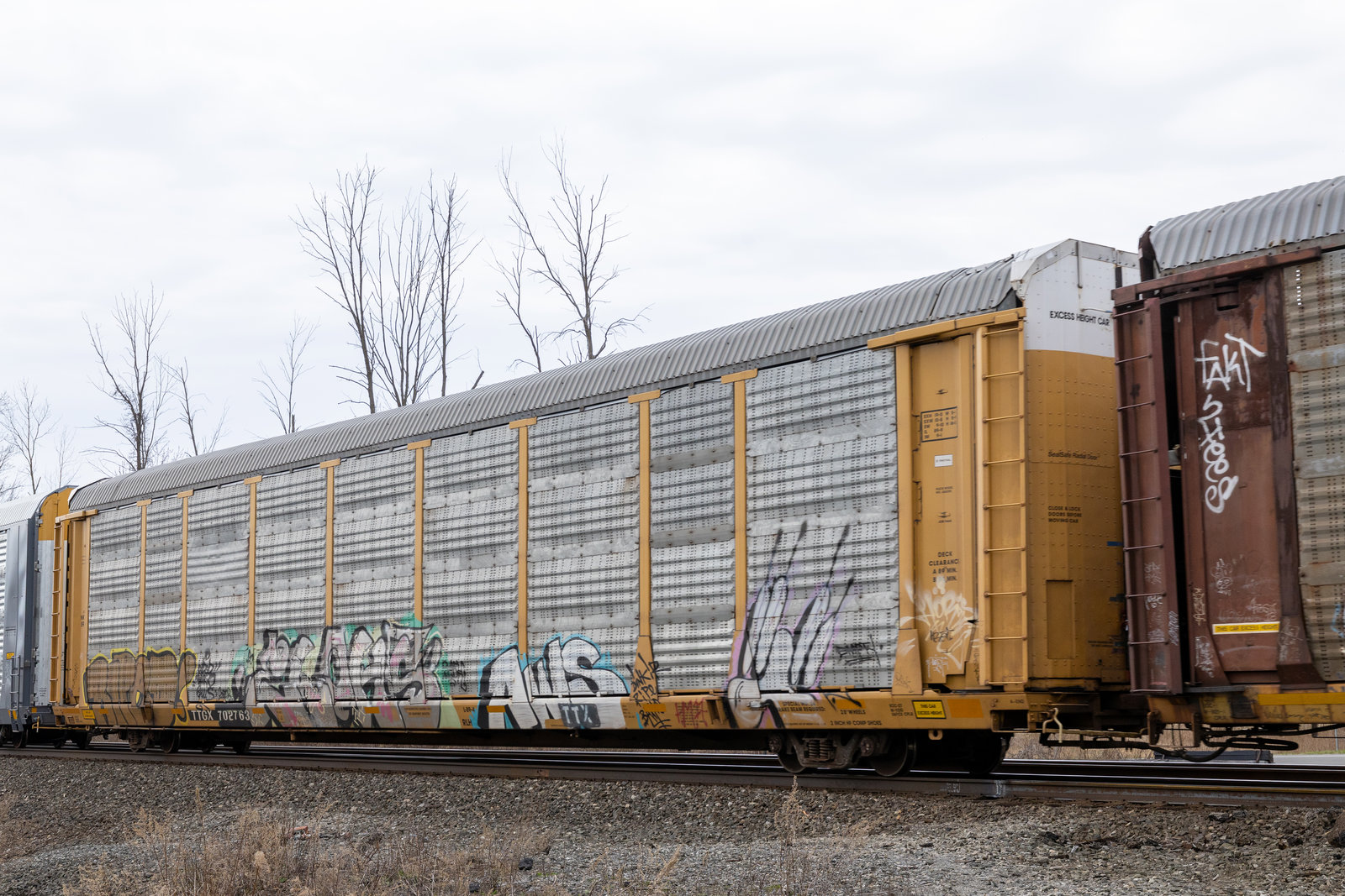 TTGX 702763