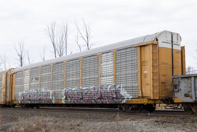 TTGX 983777
