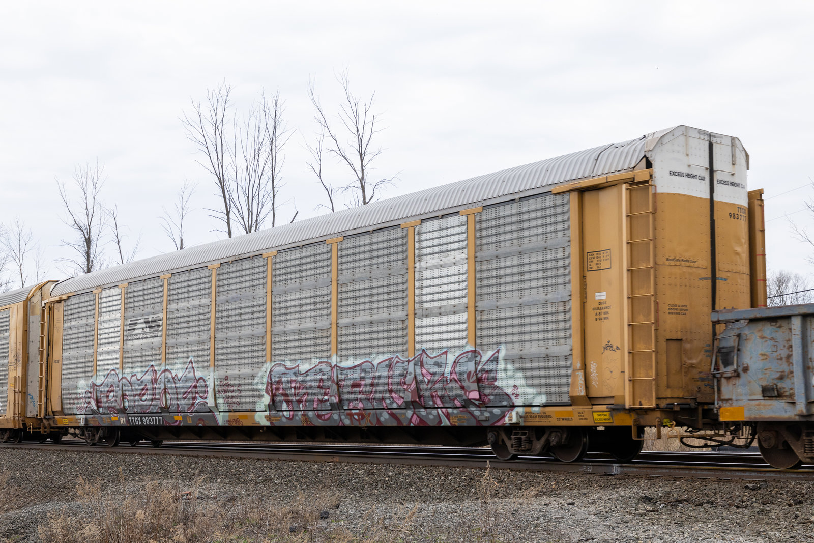 TTGX 983777