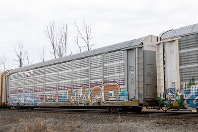 TTGX 705253