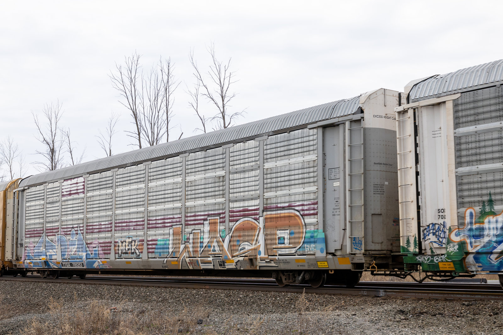 TTGX 705253