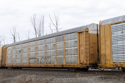TTGX 704302