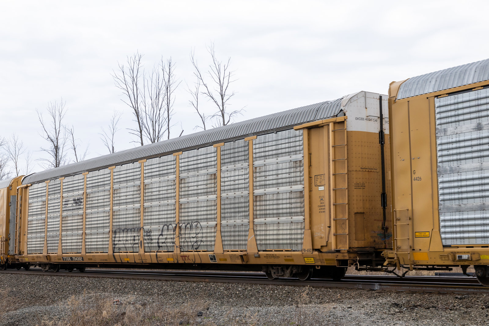 TTGX 704302