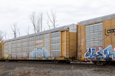 TTGX 254196
