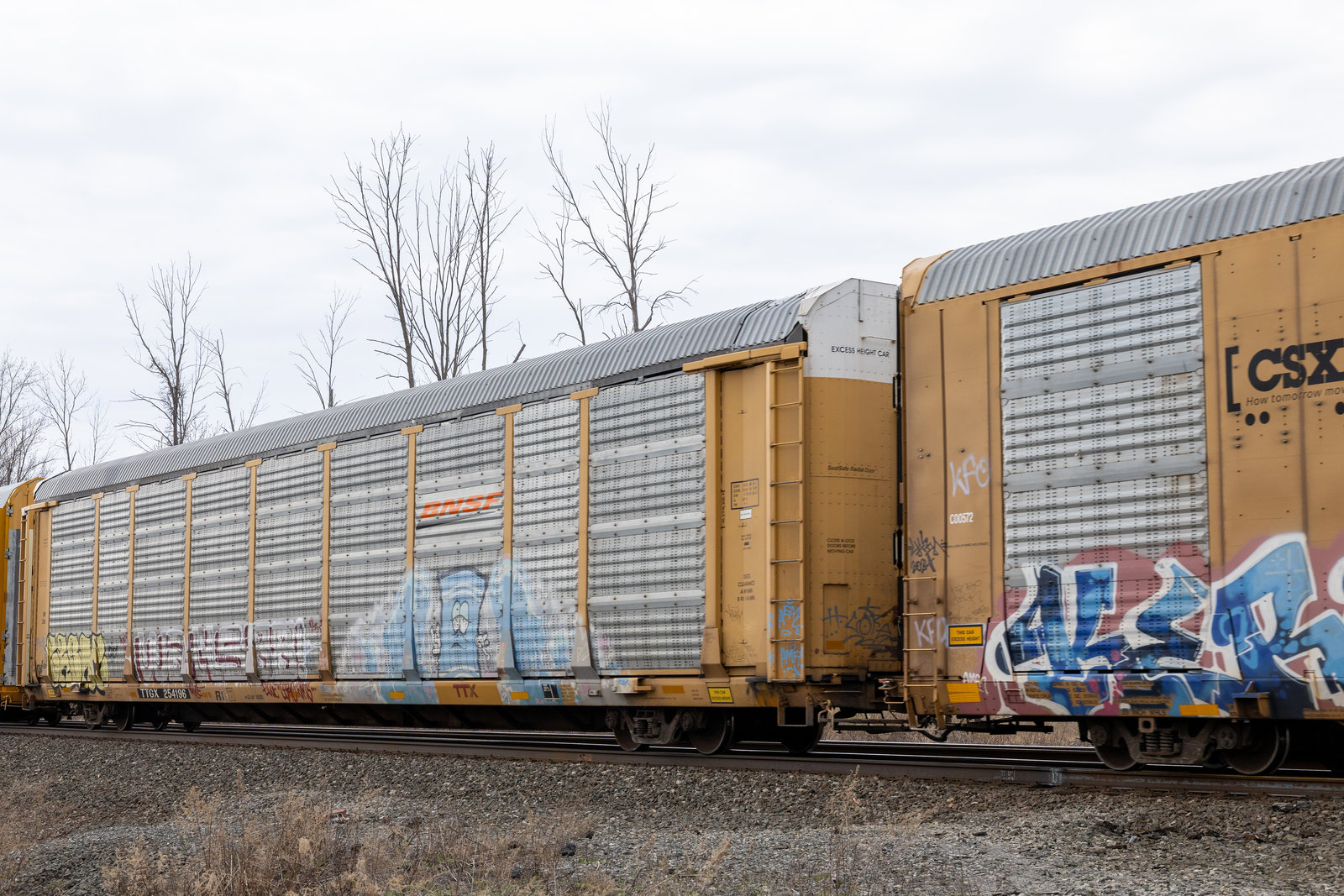 TTGX 254196