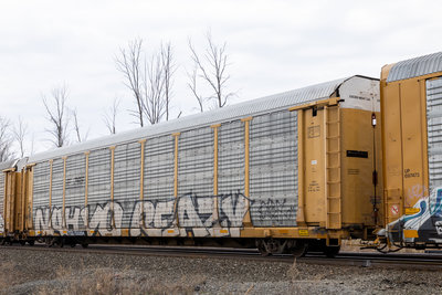 TTGX 156884
