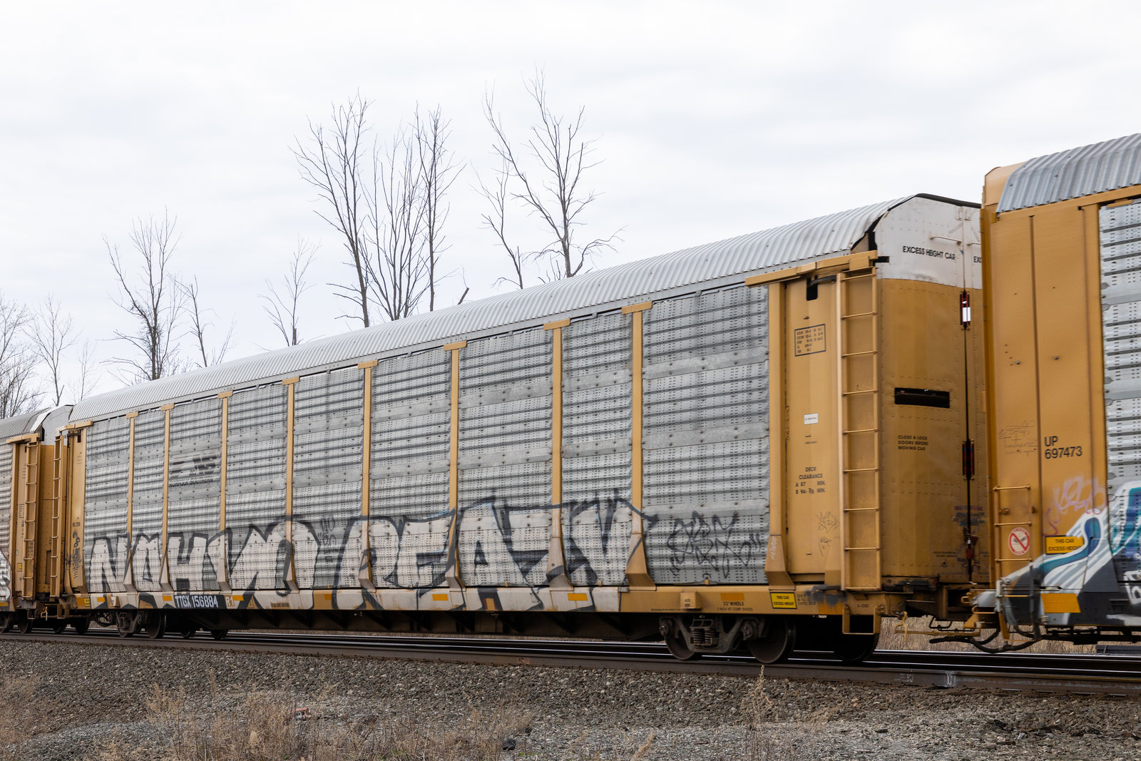 TTGX 156884